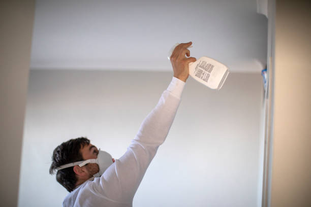 Best White Mold Remediation in Kirbyville, TX