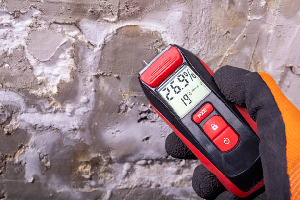 Best Bathroom Mold Remediation in Kirbyville, TX