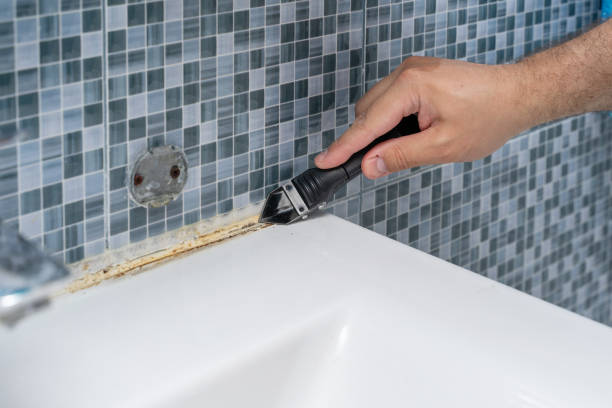 Best Commercial Mold Remediation in Kirbyville, TX