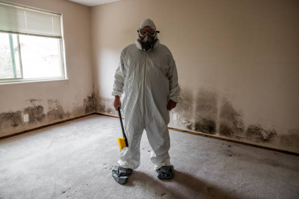 Kirbyville, TX Mold Remediation Company